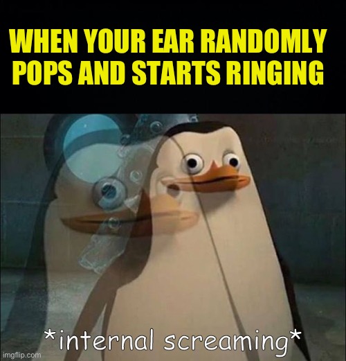 REEEEEEEEEEEEEEEEEEEEEEEEEEE | WHEN YOUR EAR RANDOMLY POPS AND STARTS RINGING | image tagged in private internal screaming,fresh memes,funny,memes | made w/ Imgflip meme maker