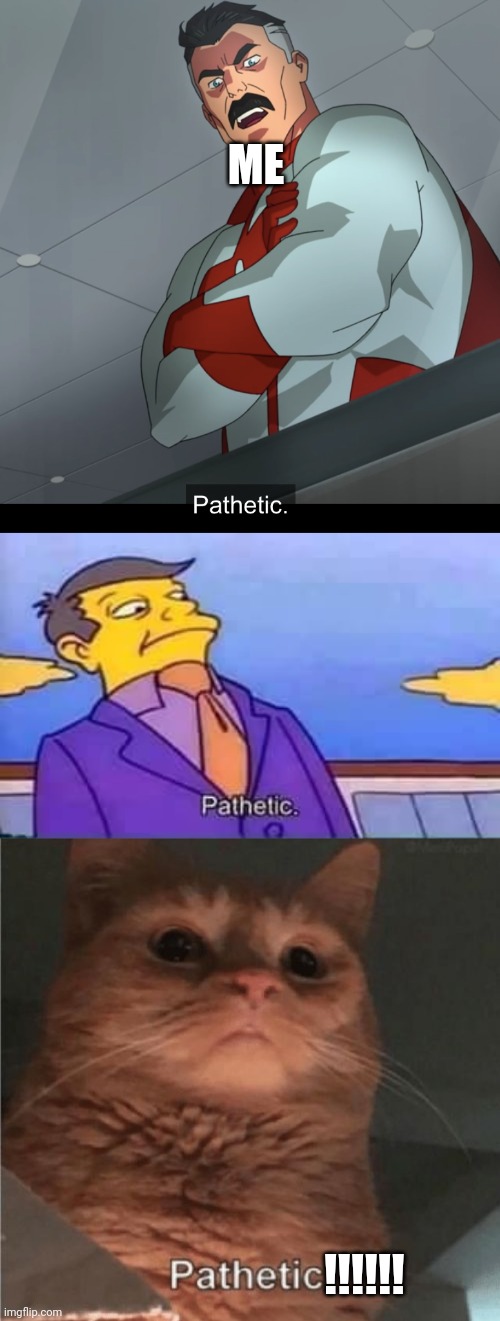 ME !!!!!! | image tagged in omniman pathetic,skinner pathetic,pathetic cat | made w/ Imgflip meme maker