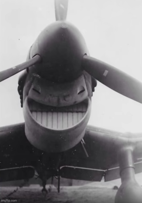 plane smiling | image tagged in plane smiling | made w/ Imgflip meme maker