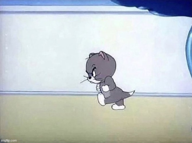 Angry cat tom and jerry | image tagged in angry cat tom and jerry | made w/ Imgflip meme maker