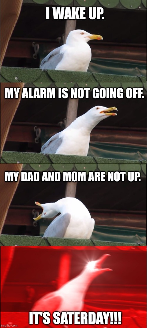 Inhaling Seagull | I WAKE UP. MY ALARM IS NOT GOING OFF. MY DAD AND MOM ARE NOT UP. IT'S SATERDAY!!! | image tagged in memes,inhaling seagull | made w/ Imgflip meme maker