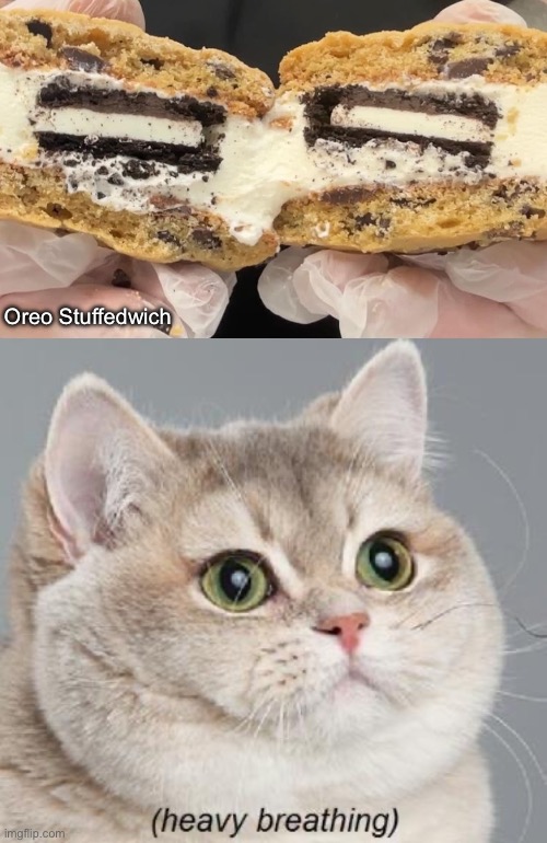 Oreo Stuffedwich | image tagged in memes,heavy breathing cat | made w/ Imgflip meme maker