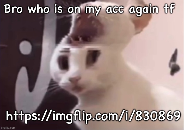 Shocked cat | Bro who is on my acc again tf; https://imgflip.com/i/830869 | image tagged in shocked cat | made w/ Imgflip meme maker