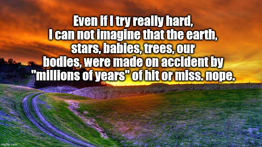 not buying it | Even if I try really hard, I can not imagine that the earth, stars, babies, trees, our bodies, were made on accident by "millions of years" of hit or miss. nope. | image tagged in creation | made w/ Imgflip meme maker