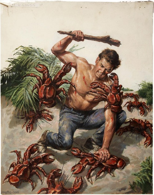 Man crab fight | image tagged in man crab fight | made w/ Imgflip meme maker