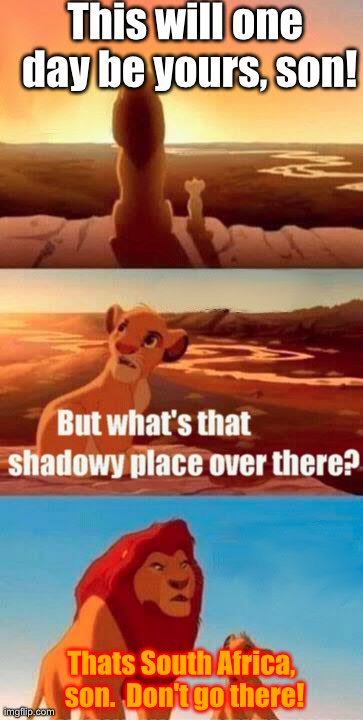 South Africa = DANGER! | This will one day be yours, son! Thats South Africa, son.  Don't go there! | image tagged in memes,simba shadowy place,south africa | made w/ Imgflip meme maker
