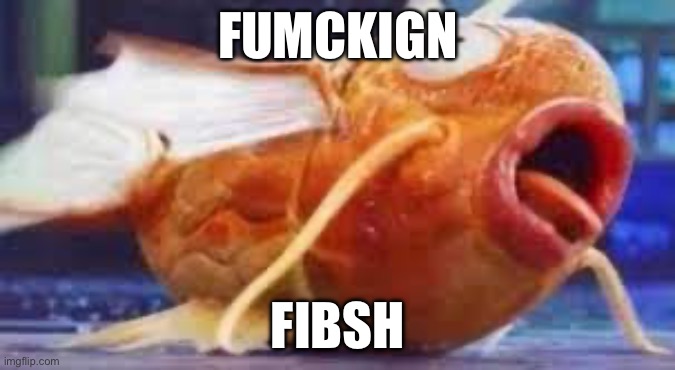 Fibsh | FUMCKIGN; FIBSH | made w/ Imgflip meme maker