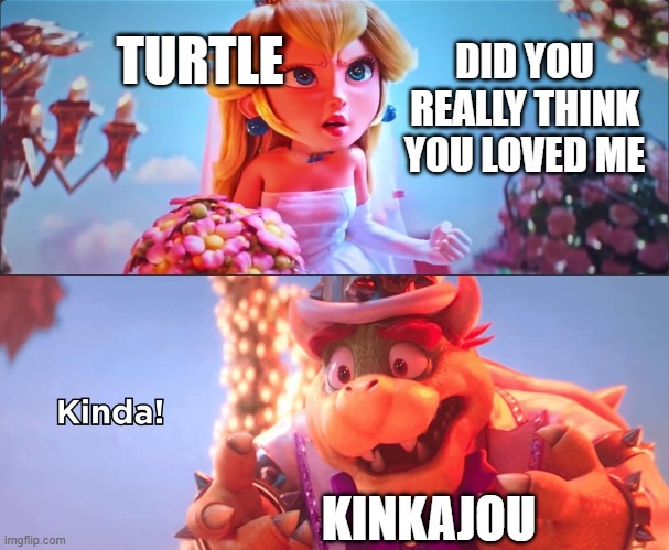 Kinda! | TURTLE; DID YOU REALLY THINK YOU LOVED ME; KINKAJOU | image tagged in kinda | made w/ Imgflip meme maker
