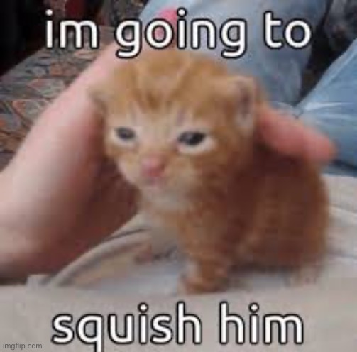 I’m going to squish him | made w/ Imgflip meme maker