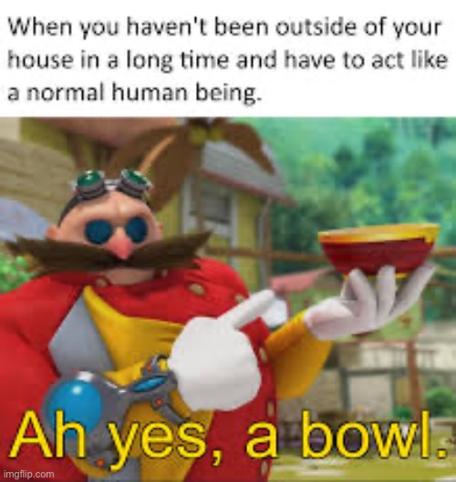 Ah yes a bowl | image tagged in ah yes a bowl | made w/ Imgflip meme maker