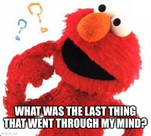 Elmo Questions | WHAT WAS THE LAST THING THAT WENT THROUGH MY MIND? | image tagged in elmo questions | made w/ Imgflip meme maker