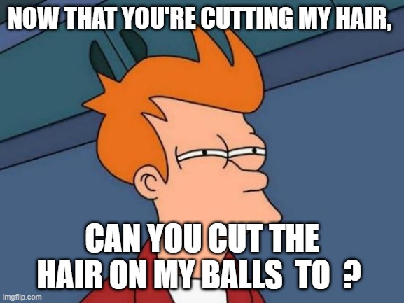 NOW THAT YOU'RE CUTTING MY HAIR, CAN YOU CUT THE HAIR ON MY BALLS  TO  ? | image tagged in memes,futurama fry | made w/ Imgflip meme maker