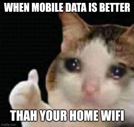 Sad | WHEN MOBILE DATA IS BETTER; THAH YOUR HOME WIFI | image tagged in sad thumbs up cat | made w/ Imgflip meme maker