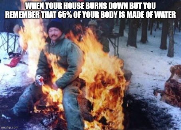 i think this is how alan tutorial would try to put out a fire | WHEN YOUR HOUSE BURNS DOWN BUT YOU REMEMBER THAT 65% OF YOUR BODY IS MADE OF WATER | image tagged in sit in fire | made w/ Imgflip meme maker