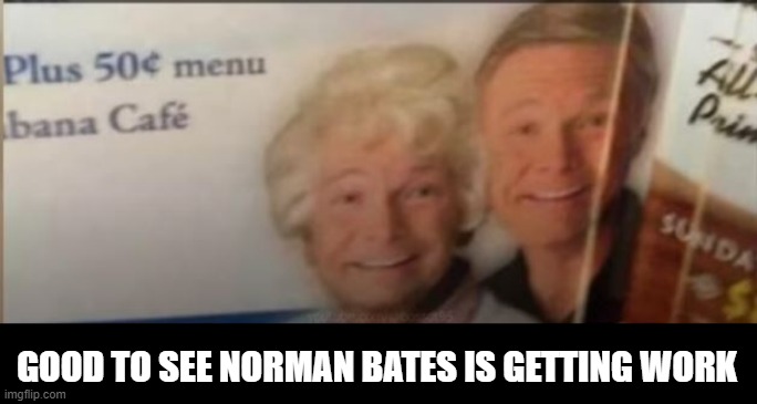 Ad Behavior | GOOD TO SEE NORMAN BATES IS GETTING WORK | image tagged in you had one job | made w/ Imgflip meme maker