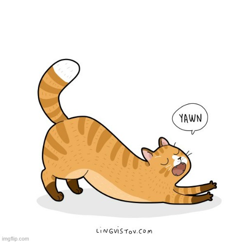 A cats way of thinking Blank Meme Template