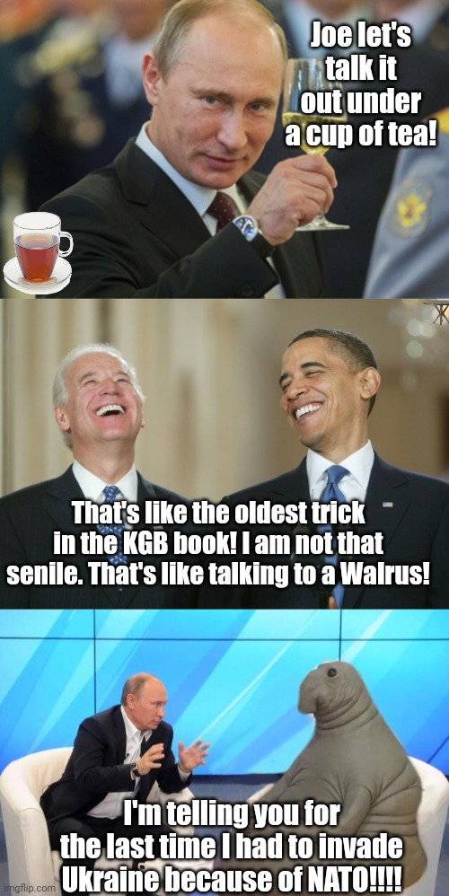 Joe let's talk it out under a cup of tea! That's like the oldest trick in the KGB book! I am not that senile. That's like talking to a Walrus! I'm telling you for the last time I had to invade Ukraine because of NATO!!!! | image tagged in putin cheers,biden obama laugh,putin talking to walrus,NAFO | made w/ Imgflip meme maker