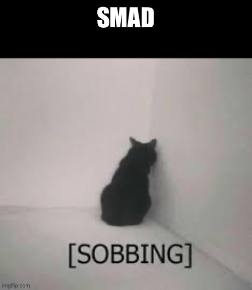 Smad | SMAD | image tagged in sobbing | made w/ Imgflip meme maker