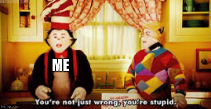 Your not just wrong your stupid | ME | image tagged in your not just wrong your stupid | made w/ Imgflip meme maker