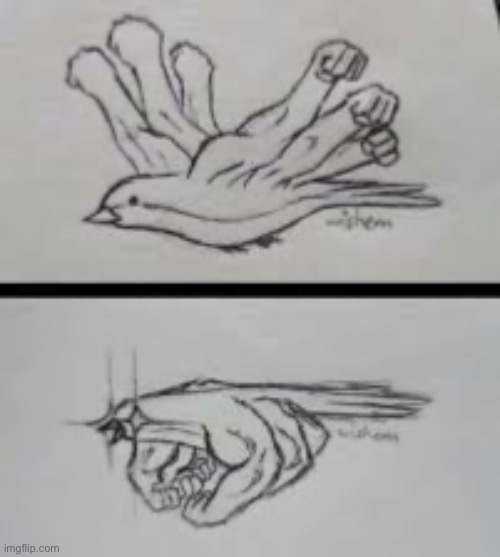 Burd | made w/ Imgflip meme maker