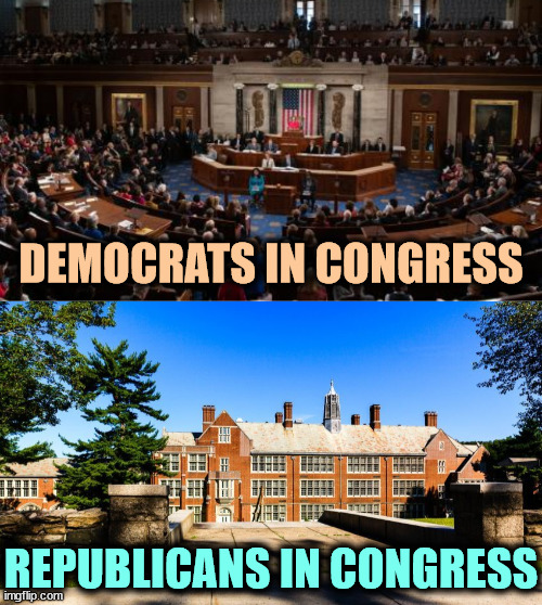 High School Unmusical | DEMOCRATS IN CONGRESS; REPUBLICANS IN CONGRESS | image tagged in house of representatives,democrats,working,republicans,high school | made w/ Imgflip meme maker