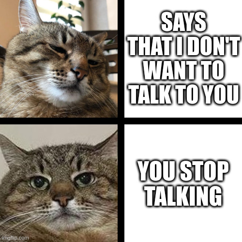 You stop talking | SAYS THAT I DON'T WANT TO TALK TO YOU; YOU STOP TALKING | image tagged in stepan cat,talk,cat | made w/ Imgflip meme maker