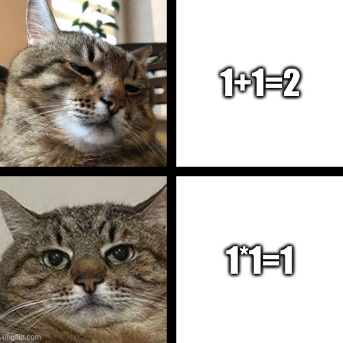 The cat does not understand math | 1+1=2; 1*1=1 | image tagged in stepan cat,math,multiplication,understand | made w/ Imgflip meme maker