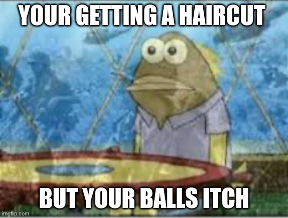 SpongeBob ptsd | YOUR GETTING A HAIRCUT; BUT YOUR BALLS ITCH | image tagged in spongebob ptsd | made w/ Imgflip meme maker