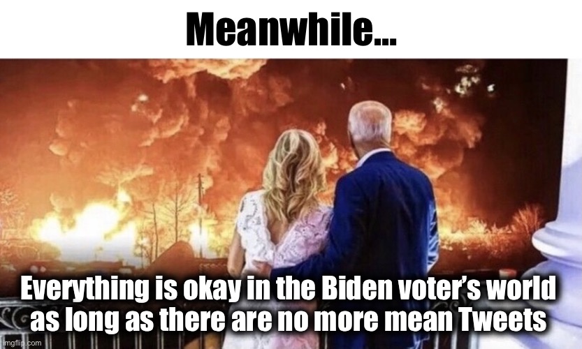 As the world burns | Meanwhile…; Everything is okay in the Biden voter’s world 
as long as there are no more mean Tweets | image tagged in as the world burns | made w/ Imgflip meme maker