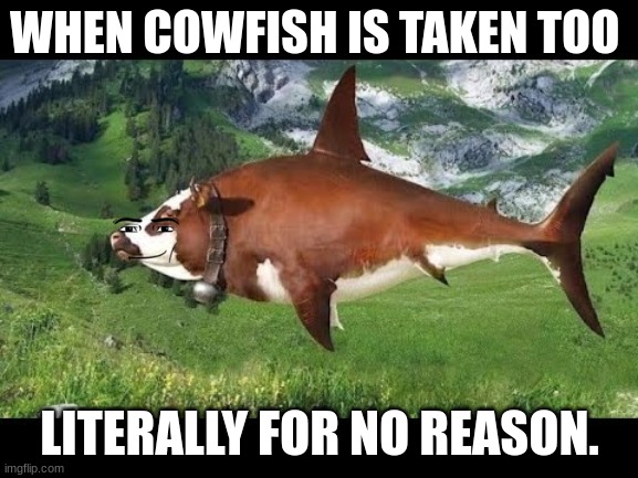 meme | WHEN COWFISH IS TAKEN TOO; LITERALLY FOR NO REASON. | image tagged in cow | made w/ Imgflip meme maker