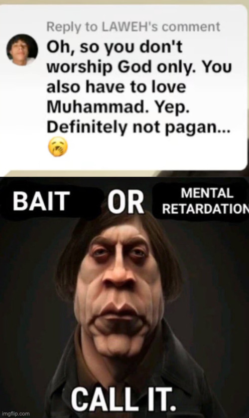 Bait Or Mental Retardation Gif