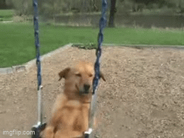 Swinging happy - Imgflip