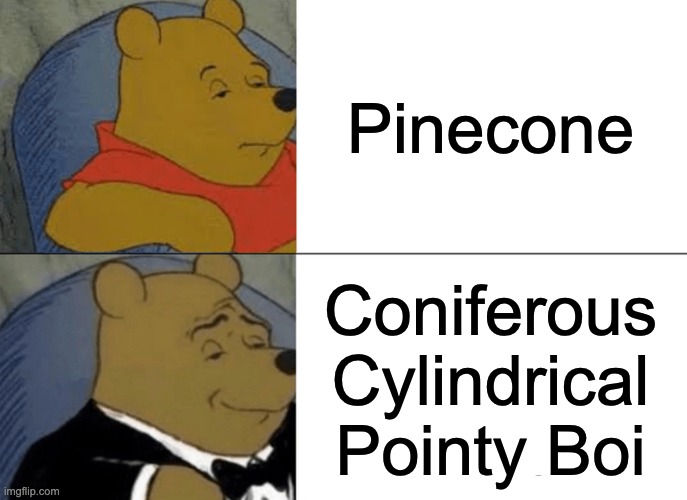 Tuxedo Winnie The Pooh | Pinecone; Coniferous Cylindrical Pointy Boi | image tagged in memes,tuxedo winnie the pooh | made w/ Imgflip meme maker