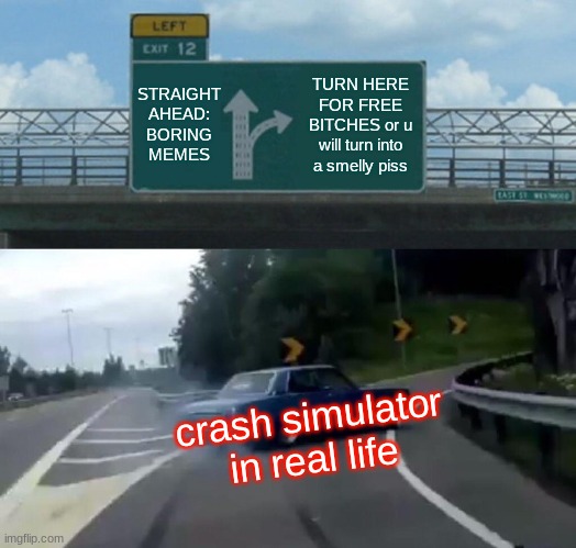 cars be like | STRAIGHT AHEAD: BORING MEMES; TURN HERE FOR FREE BITCHES or u will turn into a smelly piss; crash simulator in real life | image tagged in memes,left exit 12 off ramp | made w/ Imgflip meme maker