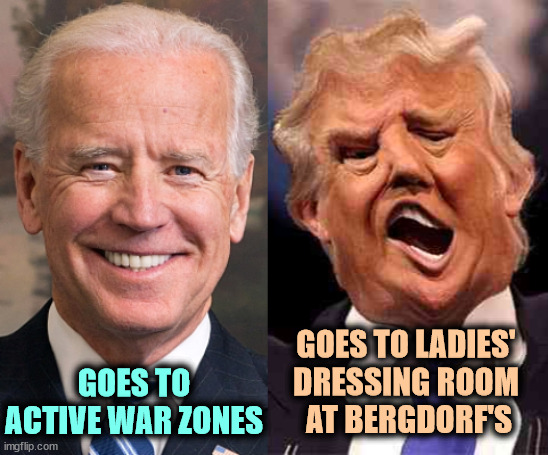E. Jean Carroll won. | GOES TO LADIES' 
DRESSING ROOM 
AT BERGDORF'S; GOES TO ACTIVE WAR ZONES | image tagged in biden solid stable trump acid drugs,biden,brave,trump,sexual assault | made w/ Imgflip meme maker