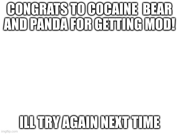 lets goooo | CONGRATS TO COCAINE  BEAR AND PANDA FOR GETTING MOD! ILL TRY AGAIN NEXT TIME | image tagged in oh wow are you actually reading these tags | made w/ Imgflip meme maker