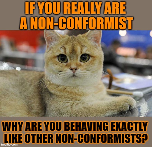 This #lolcat wonders if you ever conform | IF YOU REALLY ARE 
A NON-CONFORMIST; WHY ARE YOU BEHAVING EXACTLY 
LIKE OTHER NON-CONFORMISTS? | image tagged in conformity,lolcat,think about it | made w/ Imgflip meme maker