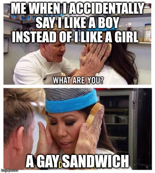 Idiot sandwitch | ME WHEN I ACCIDENTALLY SAY I LIKE A BOY INSTEAD OF I LIKE A GIRL; A GAY SANDWICH | image tagged in idiot sandwitch | made w/ Imgflip meme maker