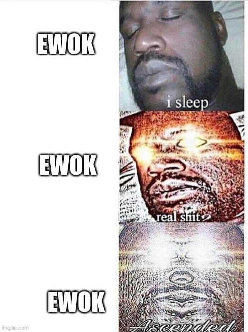 I sleep meme with ascended template | EWOK EWOK EWOK | image tagged in i sleep meme with ascended template | made w/ Imgflip meme maker
