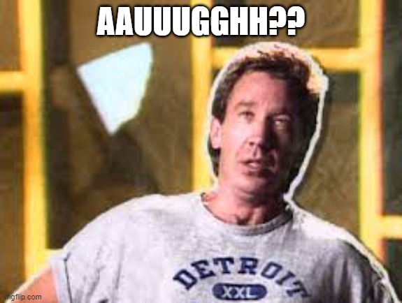 Tim Taylor Dizzy | AAUUUGGHH?? | image tagged in tim taylor dizzy | made w/ Imgflip meme maker