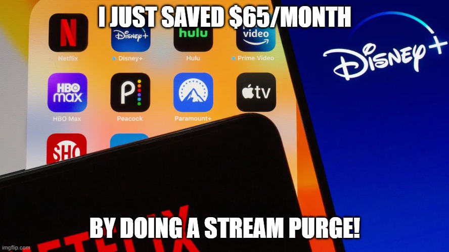 i just saved $65/month by doing a stream purge! | I JUST SAVED $65/MONTH; BY DOING A STREAM PURGE! | image tagged in memes,money money,streams,streaming,save | made w/ Imgflip meme maker