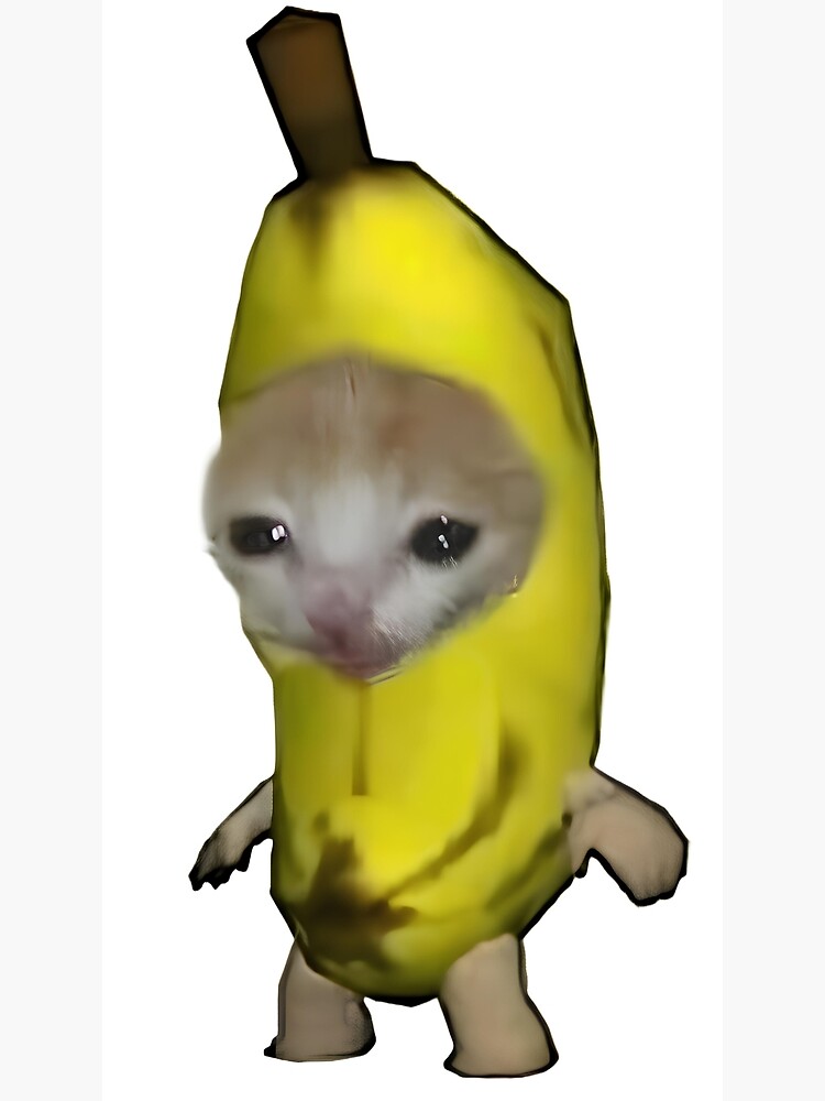 High Quality Happy Banana Cat Blank Meme Template