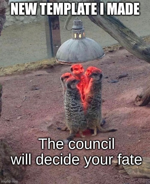 https://imgflip.com/memetemplate/488809255/Meerkat-the-council-will-decide-your-fate | NEW TEMPLATE I MADE | image tagged in meerkat the council will decide your fate | made w/ Imgflip meme maker