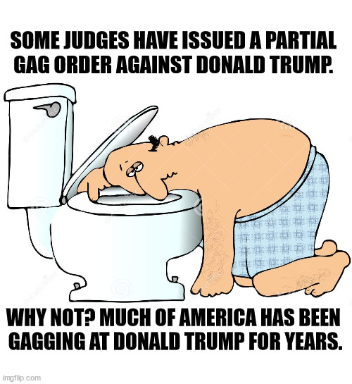 SOME JUDGES HAVE ISSUED A PARTIAL 
GAG ORDER AGAINST DONALD TRUMP. WHY NOT? MUCH OF AMERICA HAS BEEN 
GAGGING AT DONALD TRUMP FOR YEARS. | image tagged in donald trump,gag,judge | made w/ Imgflip meme maker