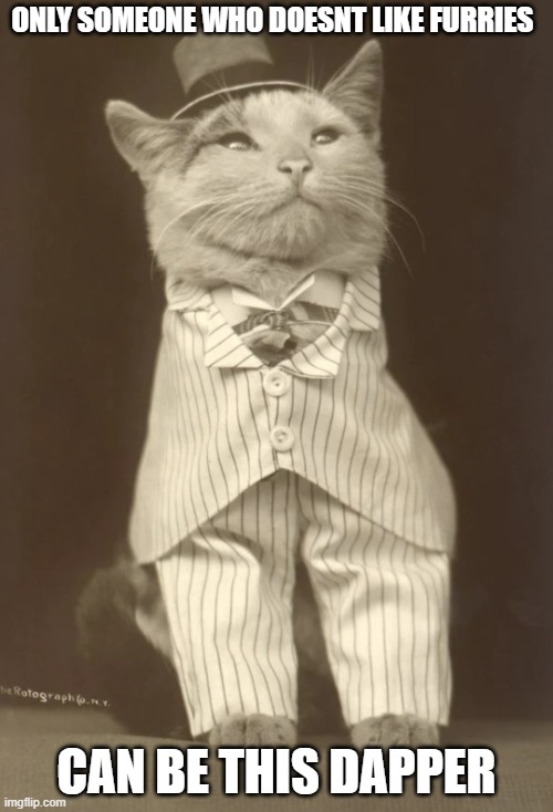 ONLY SOMEONE WHO DOESNT LIKE FURRIES; CAN BE THIS DAPPER | image tagged in cat in pinstripe | made w/ Imgflip meme maker