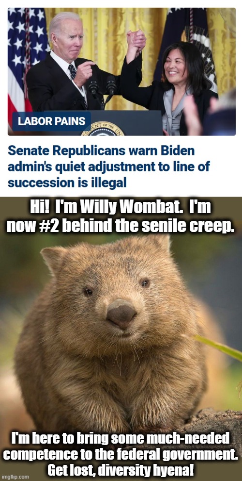 If only! | Hi!  I'm Willy Wombat.  I'm
now #2 behind the senile creep. I'm here to bring some much-needed
competence to the federal government.
Get lost, diversity hyena! | image tagged in memes,joe biden,line of succession,democrats,kamala harris,wombat | made w/ Imgflip meme maker