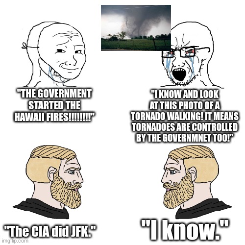 actual theory vs braindead misinformaation | "THE GOVERNMENT STARTED THE HAWAII FIRES!!!!!!!!"; "I KNOW AND LOOK AT THIS PHOTO OF A TORNADO WALKING! IT MEANS TORNADOES ARE CONTROLLED BY THE GOVERNMNET TOO!"; "I know."; "The CIA did JFK." | image tagged in crying wojak / i know chad meme,hawaii,tornado | made w/ Imgflip meme maker