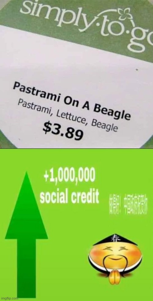 Noooo not the doggy | image tagged in 1000000 social credit | made w/ Imgflip meme maker