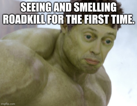 Turning green and wanting to die, because please kill me | SEEING AND SMELLING ROADKILL FOR THE FIRST TIME. | image tagged in realization,roadkill,gross | made w/ Imgflip meme maker