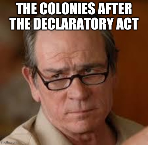 my face when someone asks a stupid question | THE COLONIES AFTER THE DECLARATORY ACT | image tagged in my face when someone asks a stupid question | made w/ Imgflip meme maker